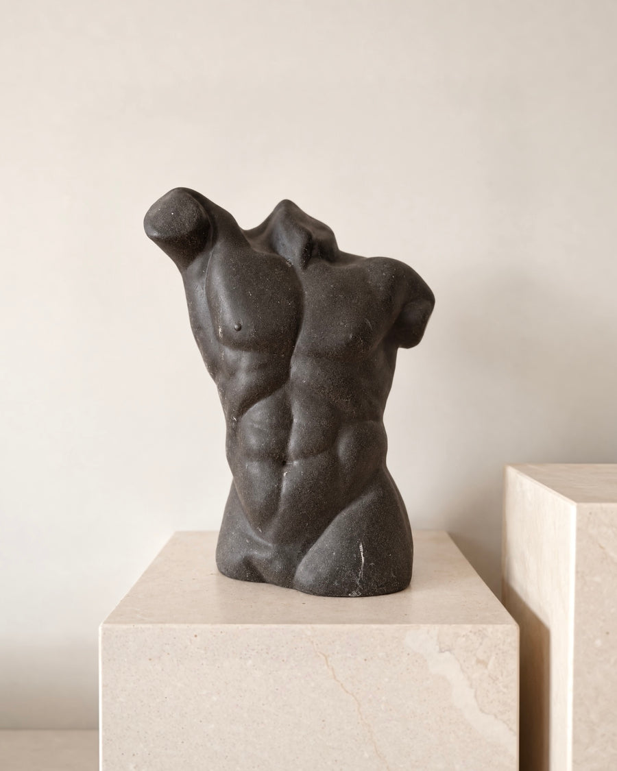 Sculptural Male Torso Bust